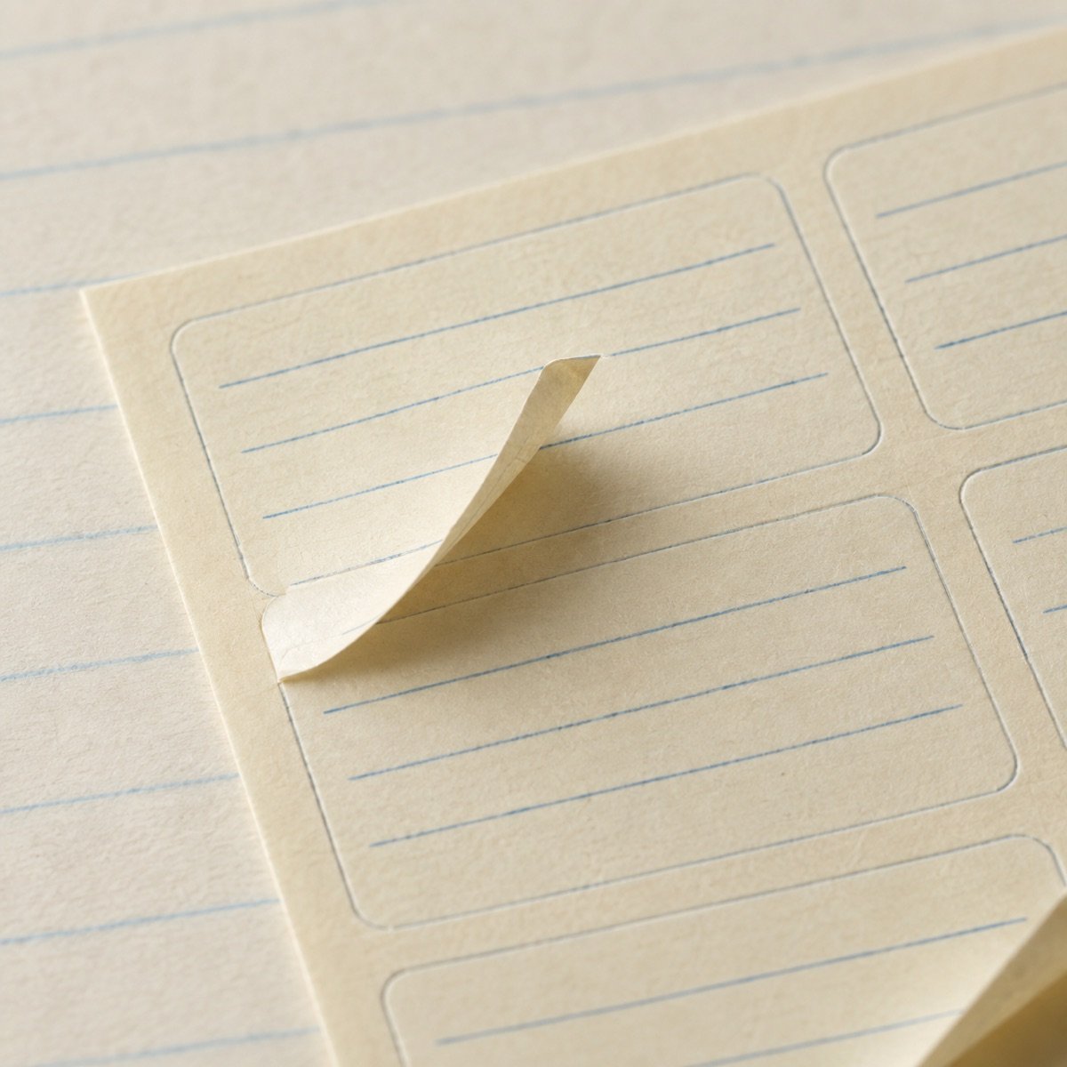 Box Label Set, 60 Labels — detail